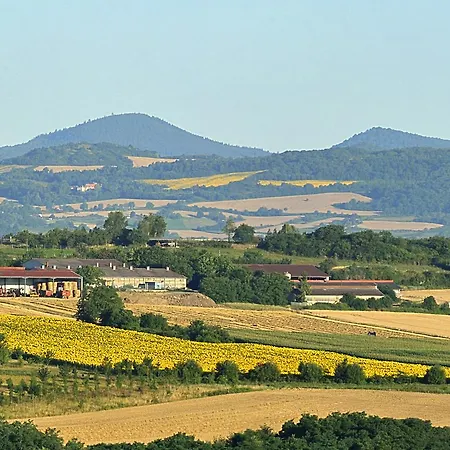 Vvf Montpeyroux Auvergne